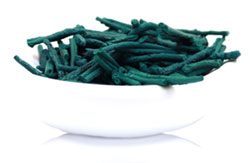 La spiruline artisanale en paillette se distingue de manière significative des autres formes de spiruline, notamment en poudre ou en comprimés, offrant ainsi une expérience unique et des avantages spécifiques.