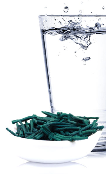 La spiruline en brindilles se consomme avec un verre d’eau ou un verre de jus d’orange