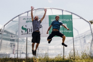 La spiruline du sud-ouest et du pays-basque