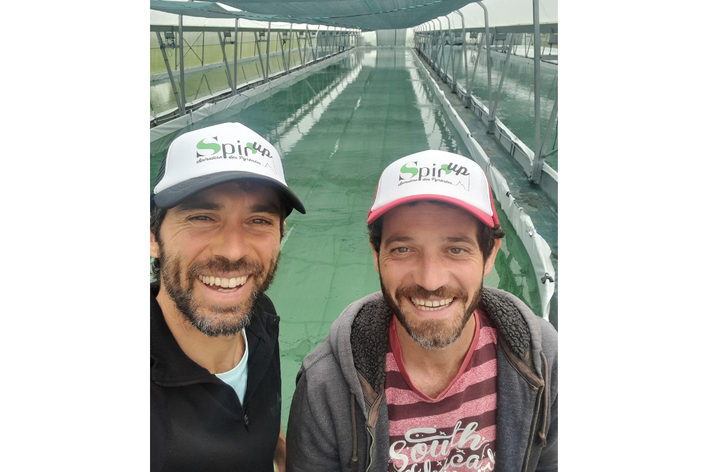 La spiruline spirup est un superaliment apprécié des sportifs, personnes âgées, végétariens, vegan, adeptes de phycocyanine naturelle. Antho et Julien, les producteurs, vous apportent des conseils d'experts concernant la vitalité, le bien-être, le tonus et la lutte contre la fatigue. tout ces bienfaits peuvent être ressentis après une cure de spiruline en paillettes, comprimés ou gélules.